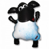 Барашек Тимми